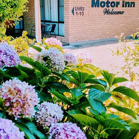 Muswellbrook Motor Inn المظهر الخارجي الصورة