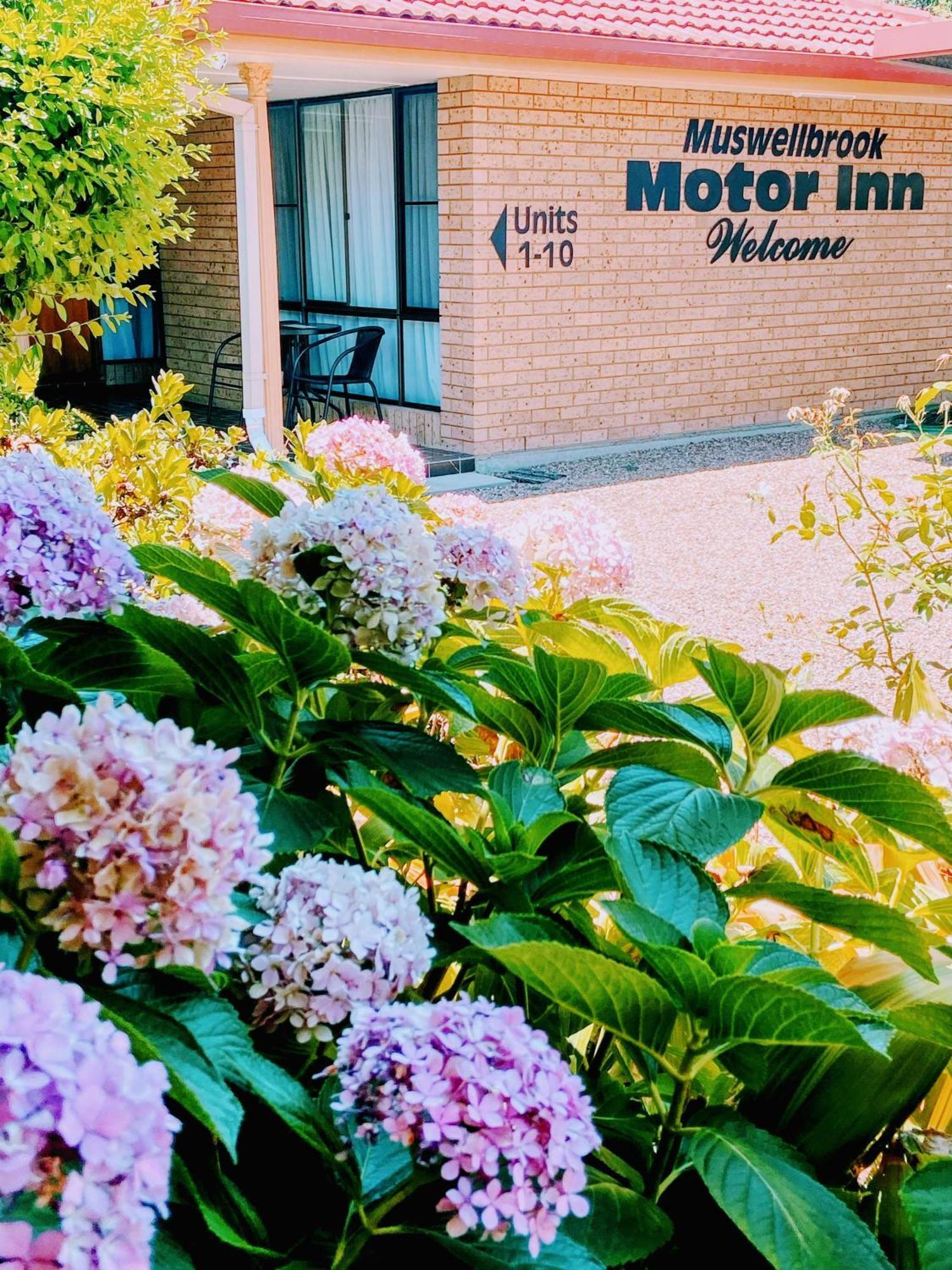 Muswellbrook Motor Inn المظهر الخارجي الصورة